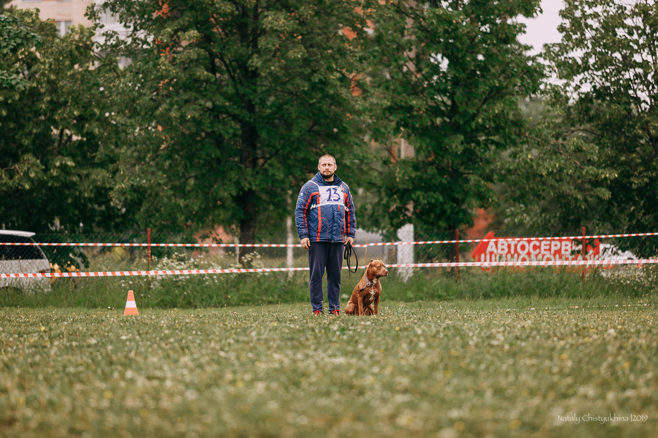 Соревнования БРР. Фотограф-анималист Наталия Чистюхина в г. Сосновый Бор и ЛО