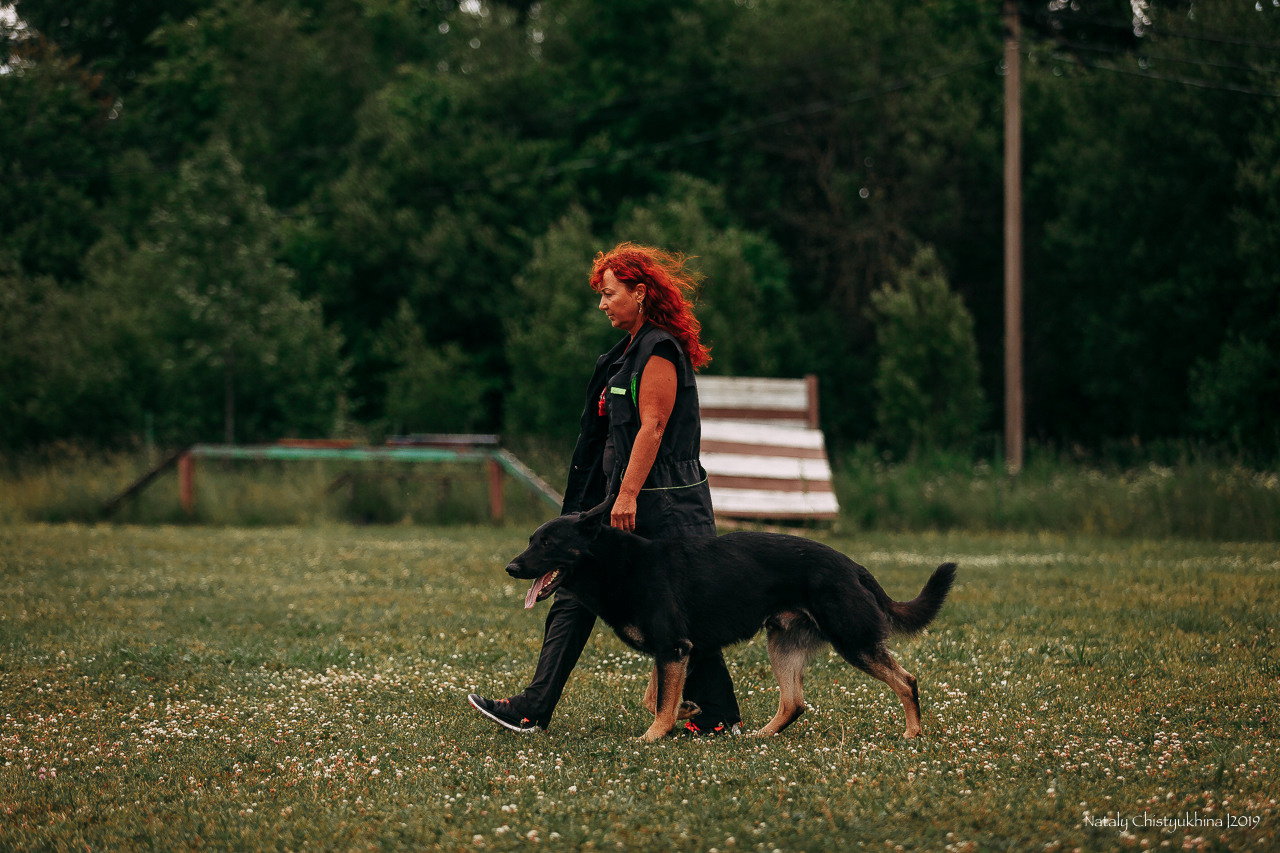 Соревнования по мондьорингу. Фотограф-анималист Наталия Чистюхина в г. Сосновый Бор и ЛО