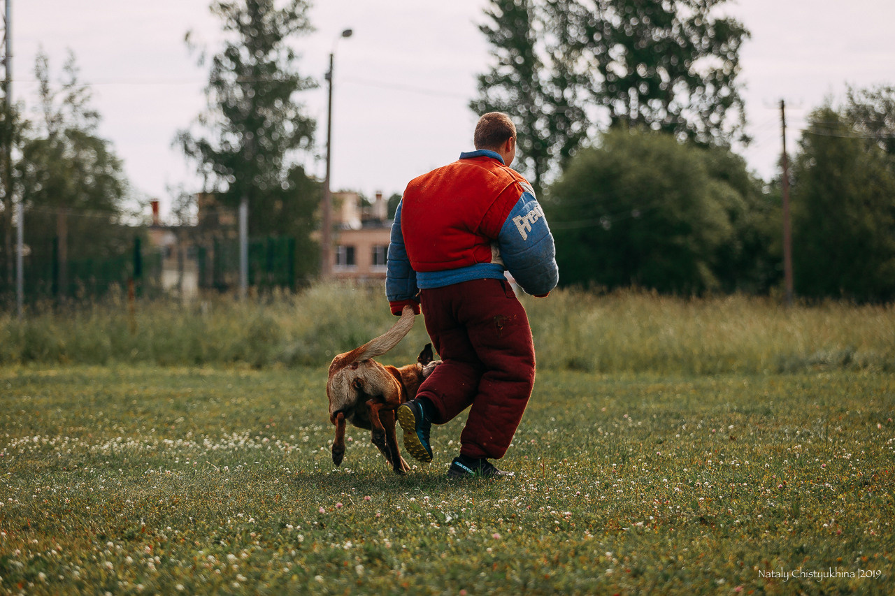 Соревнования по мондьорингу. Фотограф-анималист Наталия Чистюхина в г. Сосновый Бор и ЛО