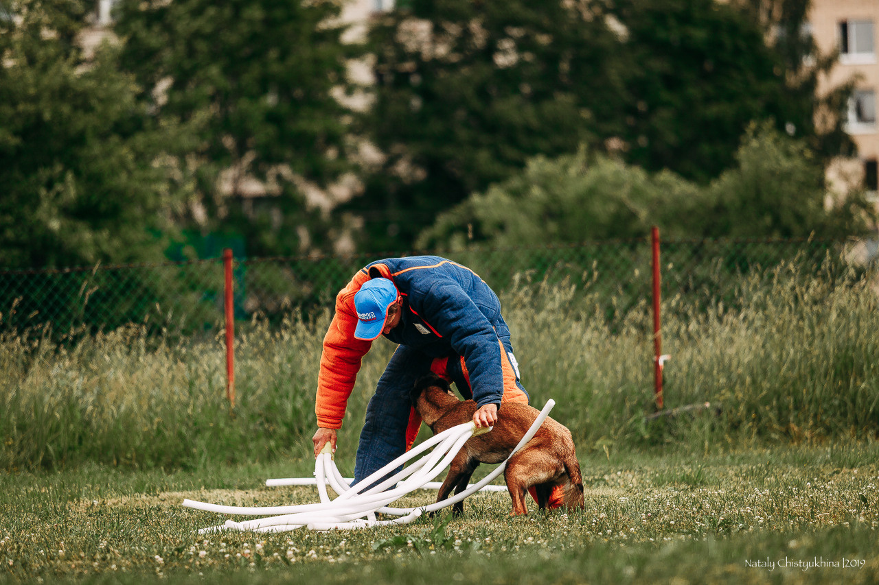Соревнования по мондьорингу. Фотограф-анималист Наталия Чистюхина в г. Сосновый Бор и ЛО