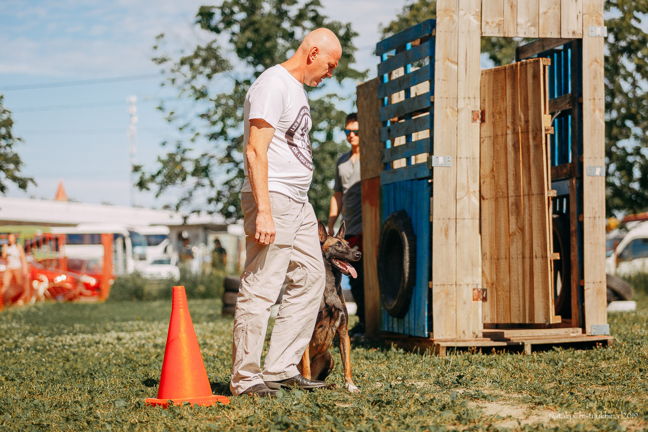 Соревнования по мондьорингу. Фотограф-анималист Наталия Чистюхина в г. Сосновый Бор и ЛО