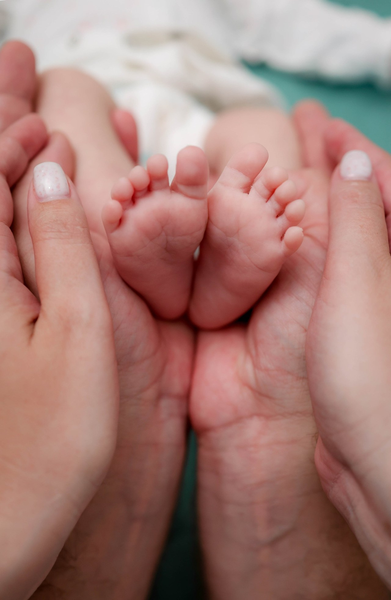 Отзывы. Alexsaphoto.ru