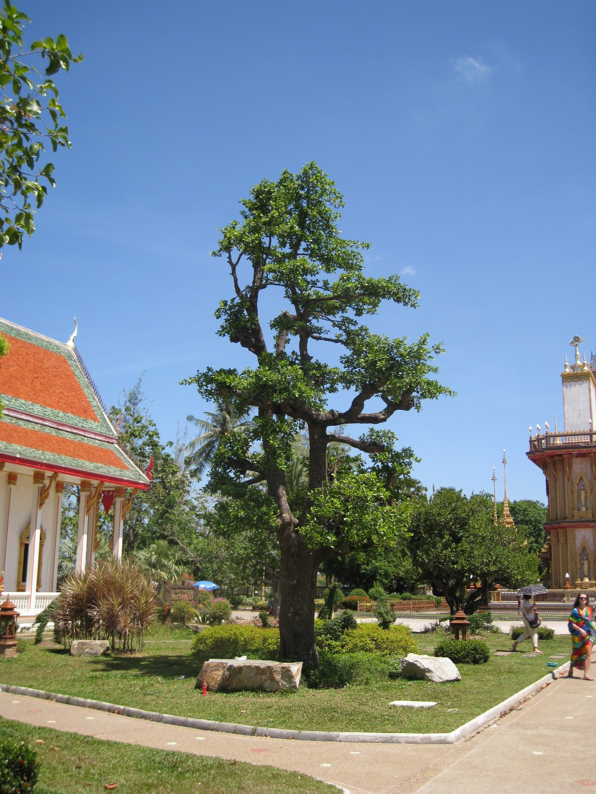 Тайланд 2012 г. Улица, люди, жизнь…