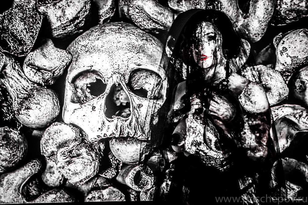 Dominatrix. Александр Прищепов - фотограф, режиссёр, продюсер