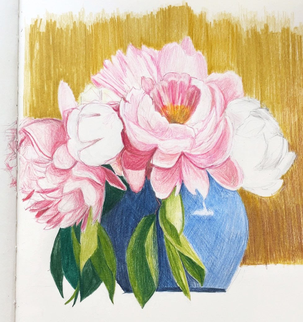 Карандаши. Аня Степанова