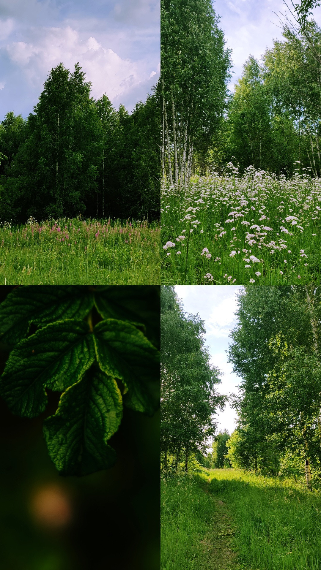 Кузбасский парк Кемерово