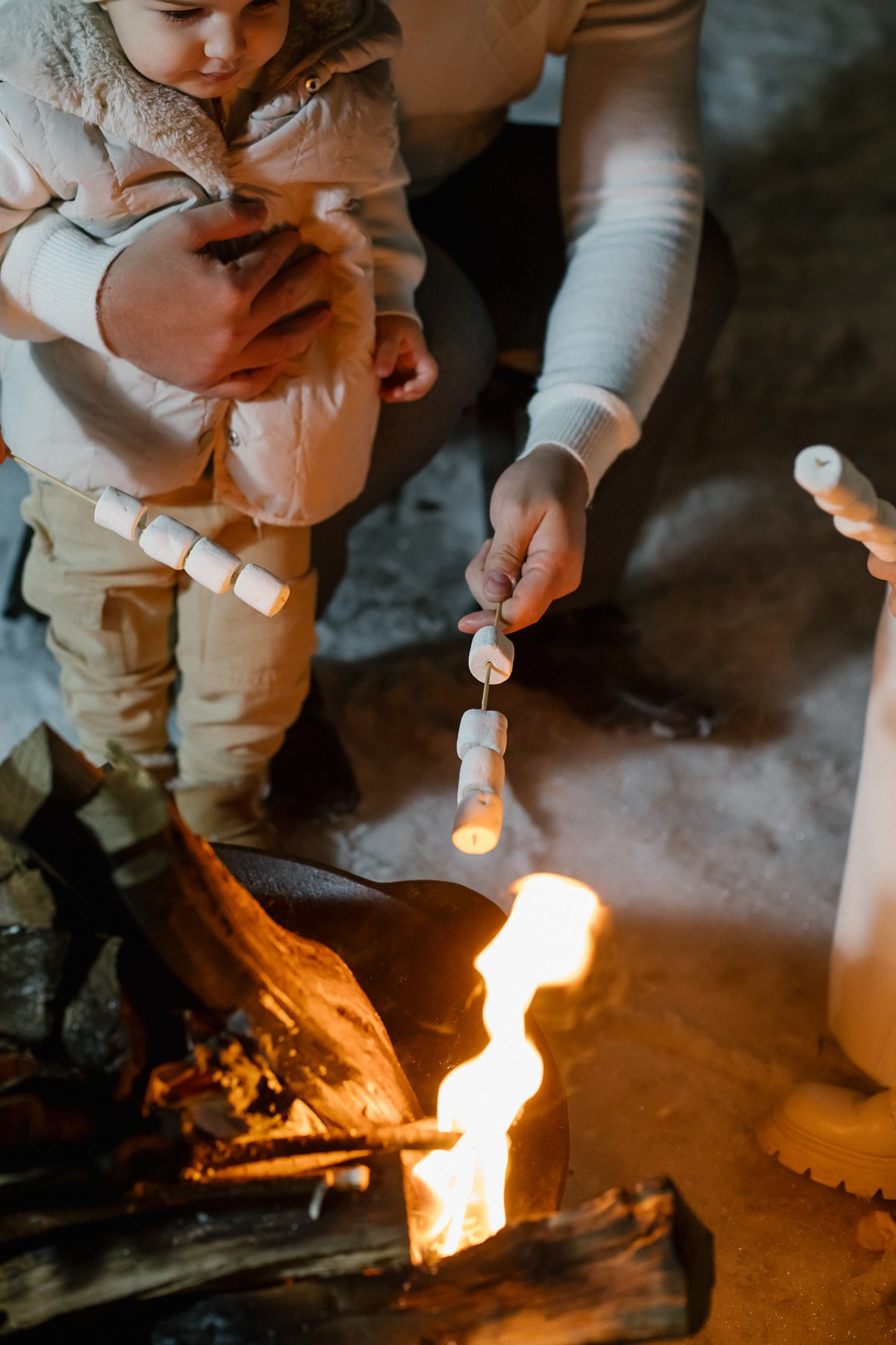 Асмик, Армен, Эмилия и Егиш. Свадебный, семейный фотограф Брянск, Москва — Виктория Антропова