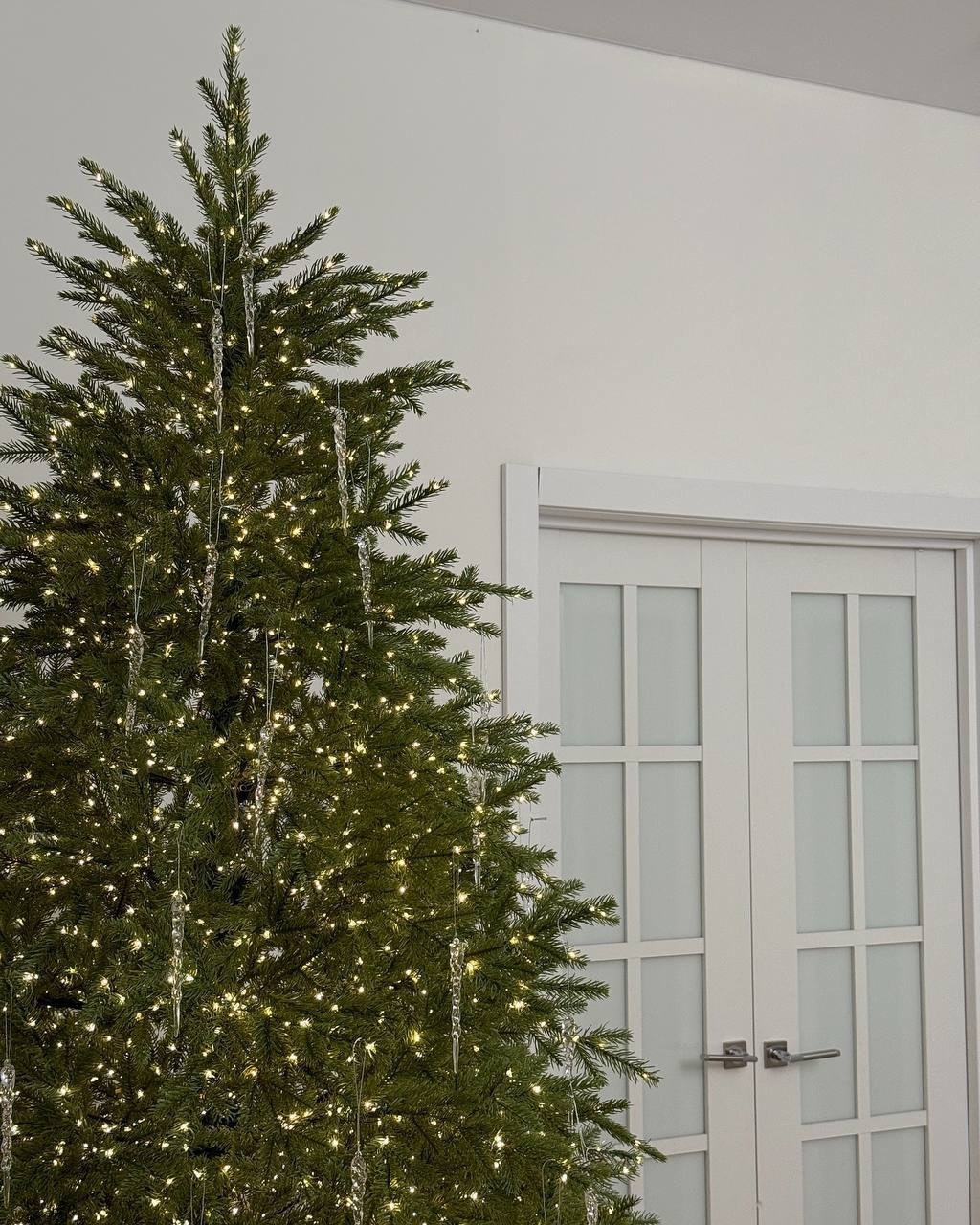 ЗАЛ 2 — НГ 2026. Фотостудия Новочебоксарск