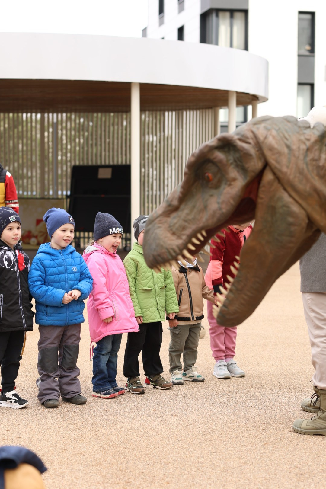Косте 6 лет Дино пати. Семейный фотограф Москва детский фотограф Одинцово фотосессия беременности Рогачева Екатерина