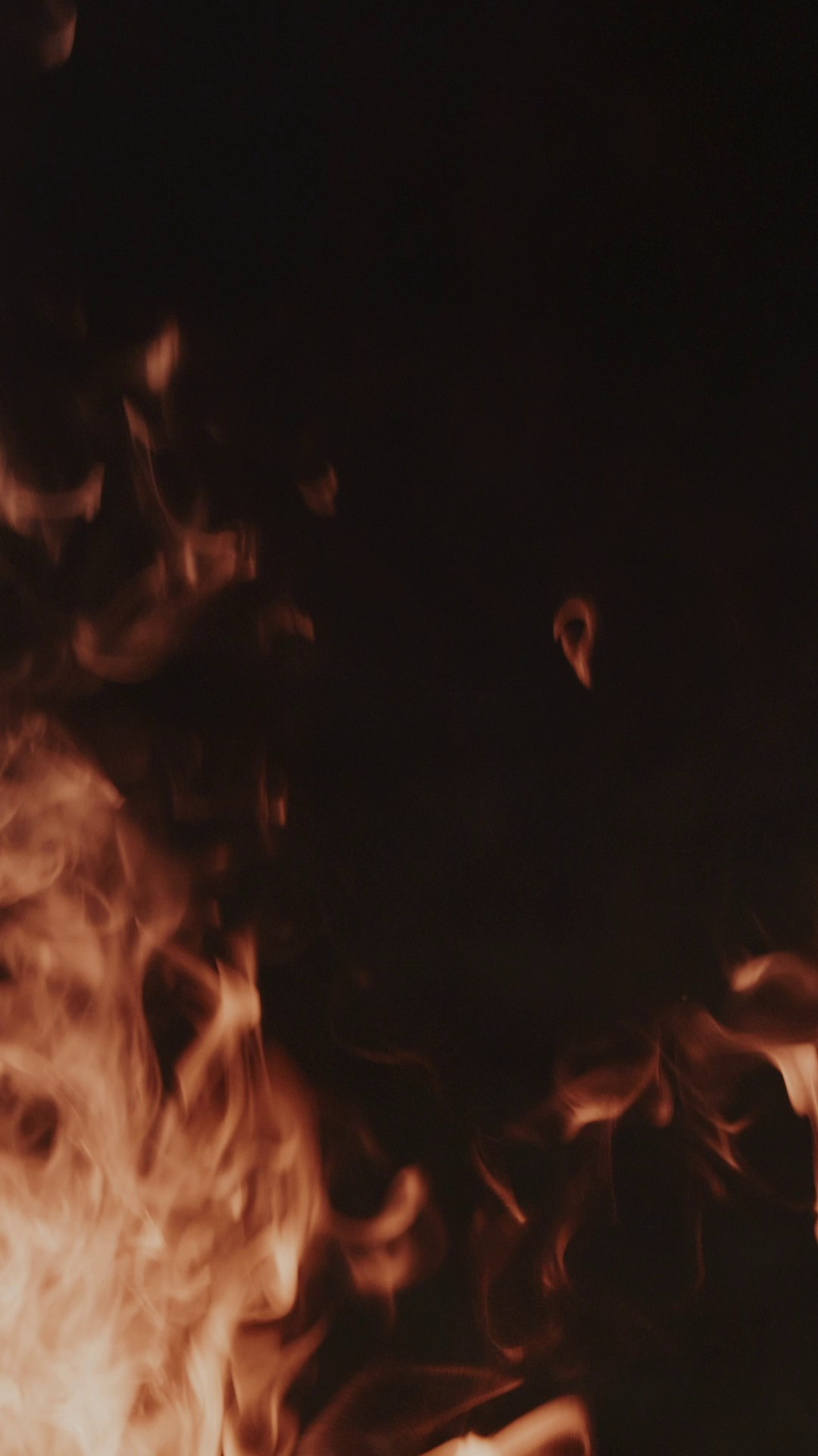 Свадебный видеограф  Москва