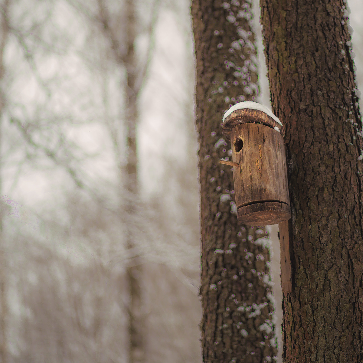 Оля и Витя. Семейный, детский, свадебный фотограф по всей РБ Валера Михневич