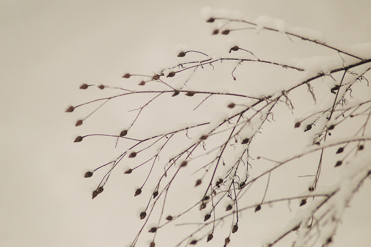 Оля и Витя. Семейный, детский, свадебный фотограф по всей РБ Валера Михневич