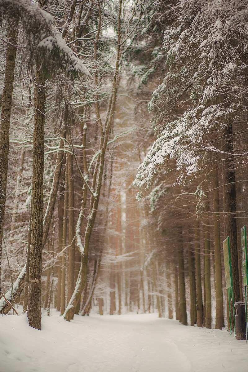 Оля и Витя. Семейный, детский, свадебный фотограф по всей РБ Валера Михневич
