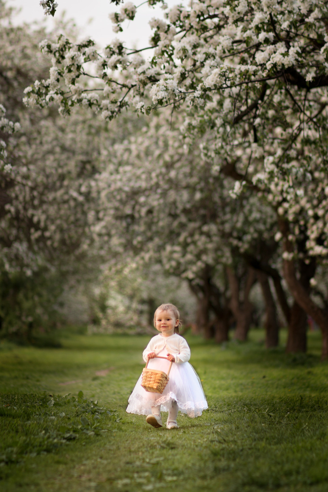 ВЕСЕННИЕ САДЫ. Арт-фотограф в Москве Елена Иванова