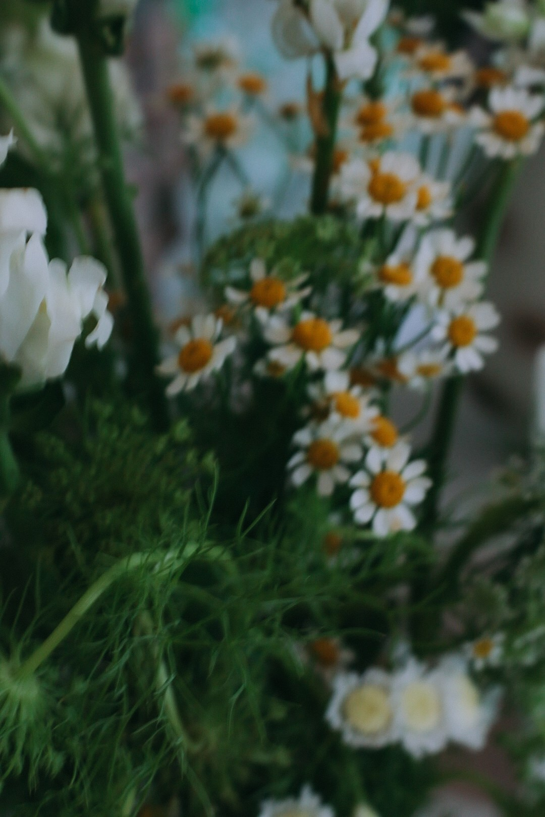 B-day Nastya. Фотограф Нижний Новгород