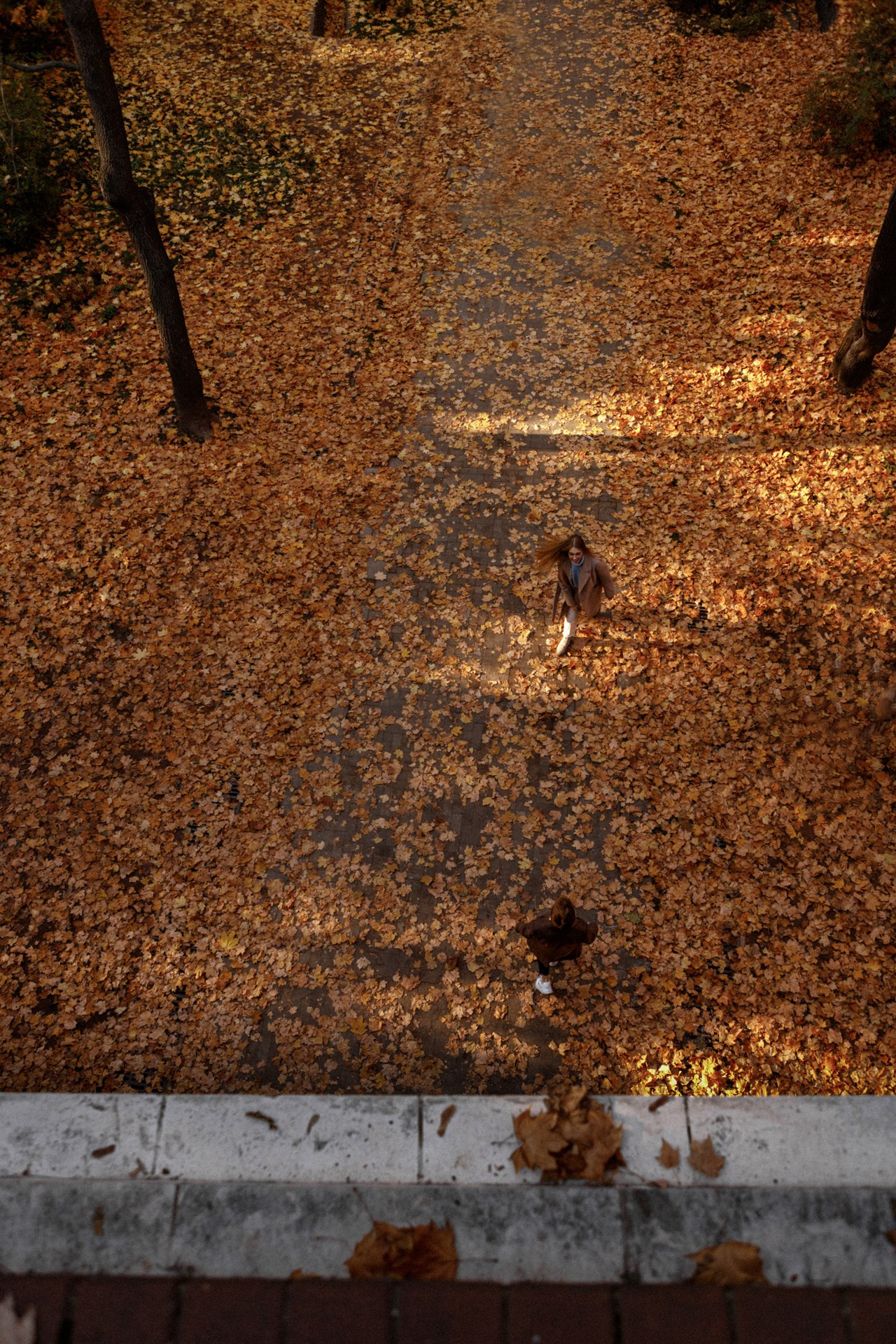 Бабочки в животе. Фотограф Владимир Молоканов