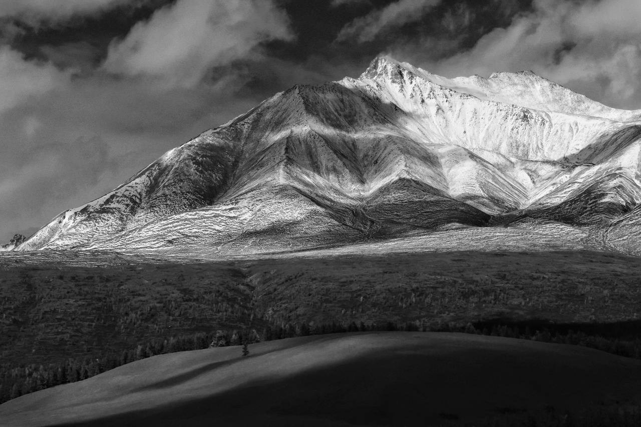 2024. Тащилин Сергей. Фотографии. Жизнь. Хобби