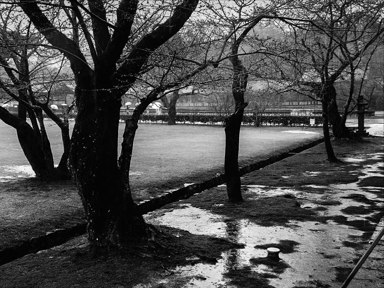 Japan. Фотограф Cyberkyrie