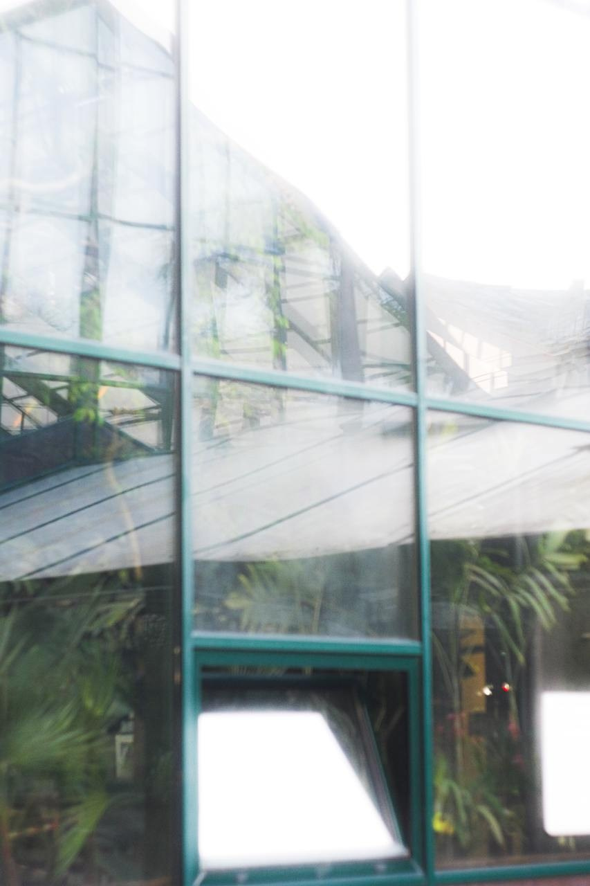 Аптекарский огород. Софа Катастрофа, Одичание. фотохудожница, креативный продюсер, автор. Nude, eros, портретный фотограф