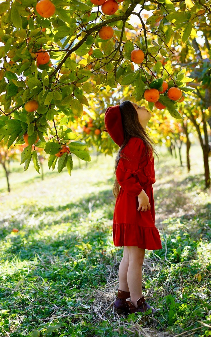 Осенние КРАСКИ. Фотограф Елена — Севастополь, Крым, Москва