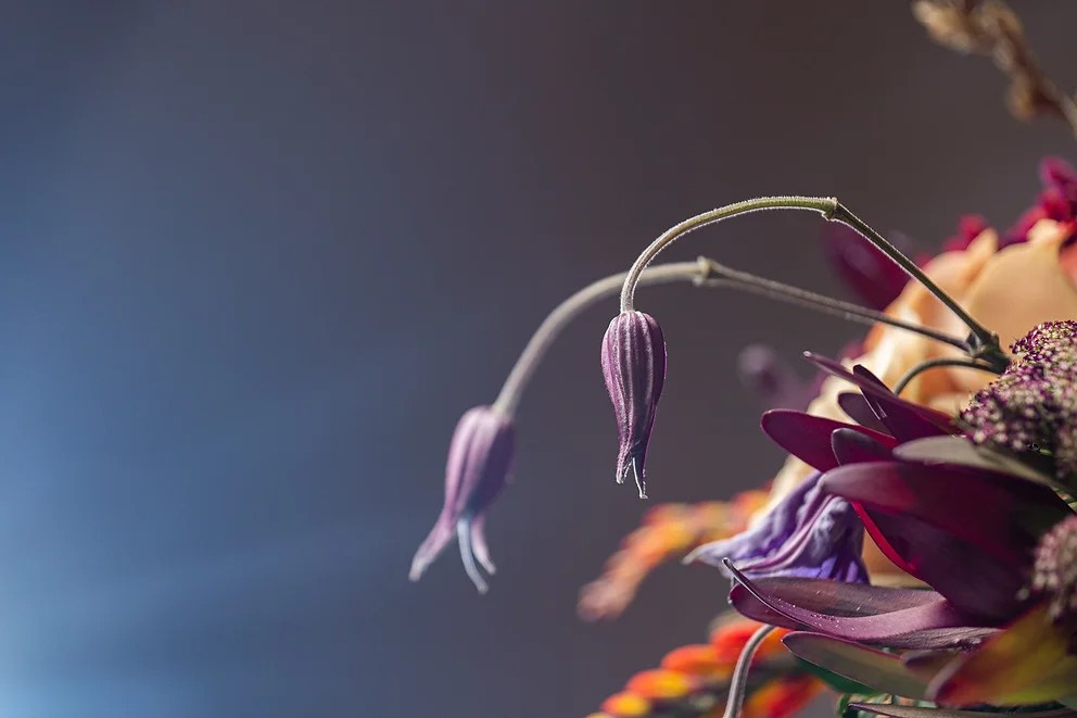 Предметная фотосъемка. Фотограф в Москве Виктор Водолазький