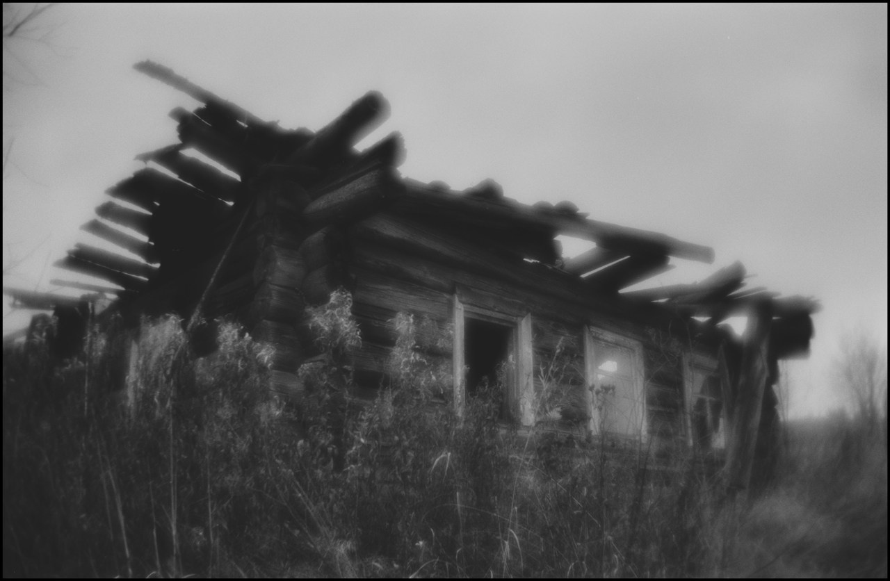 д. Мыза, Плесецкий район, Архангельская область. 2024 г.