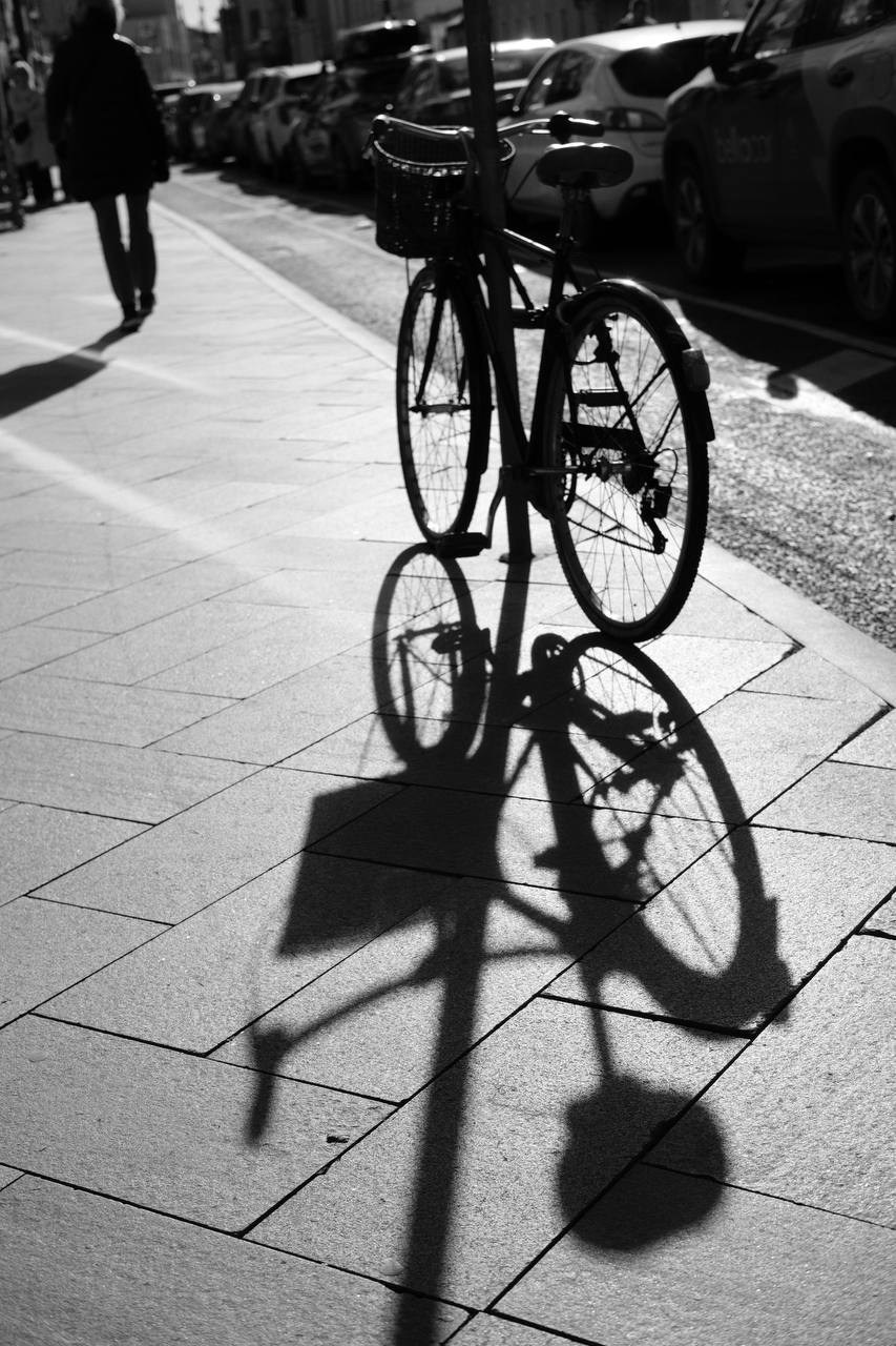 Автор: Дарья Пронина