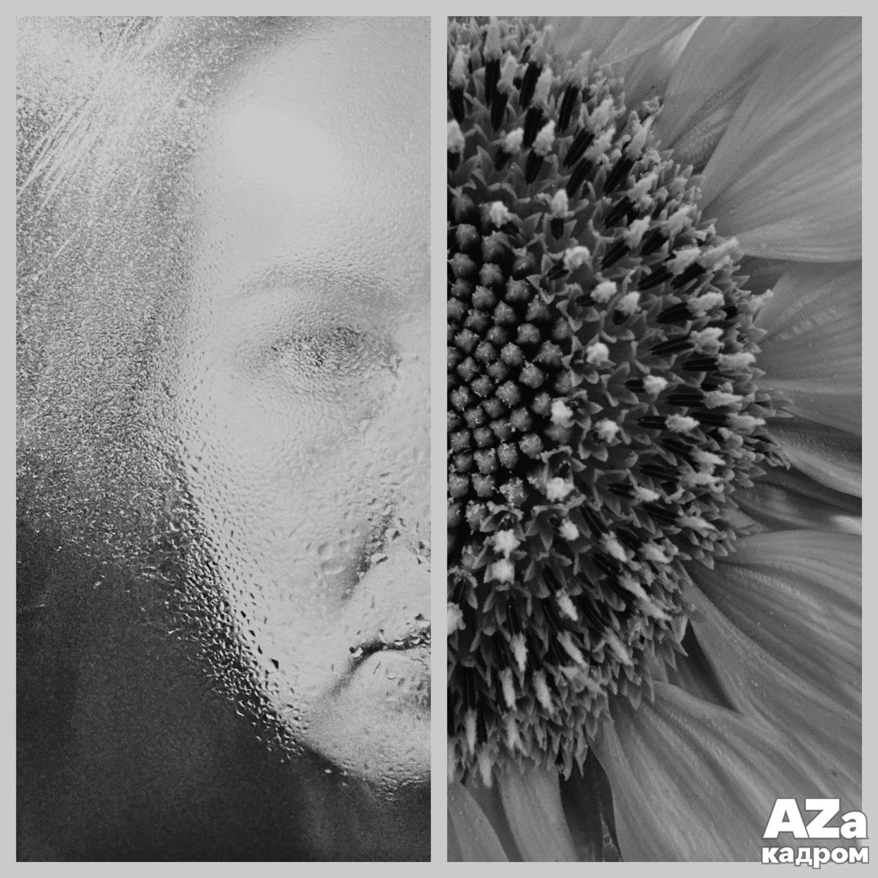 Диптихи. Женский семейный фотограф Тула Москва Захарова Анна