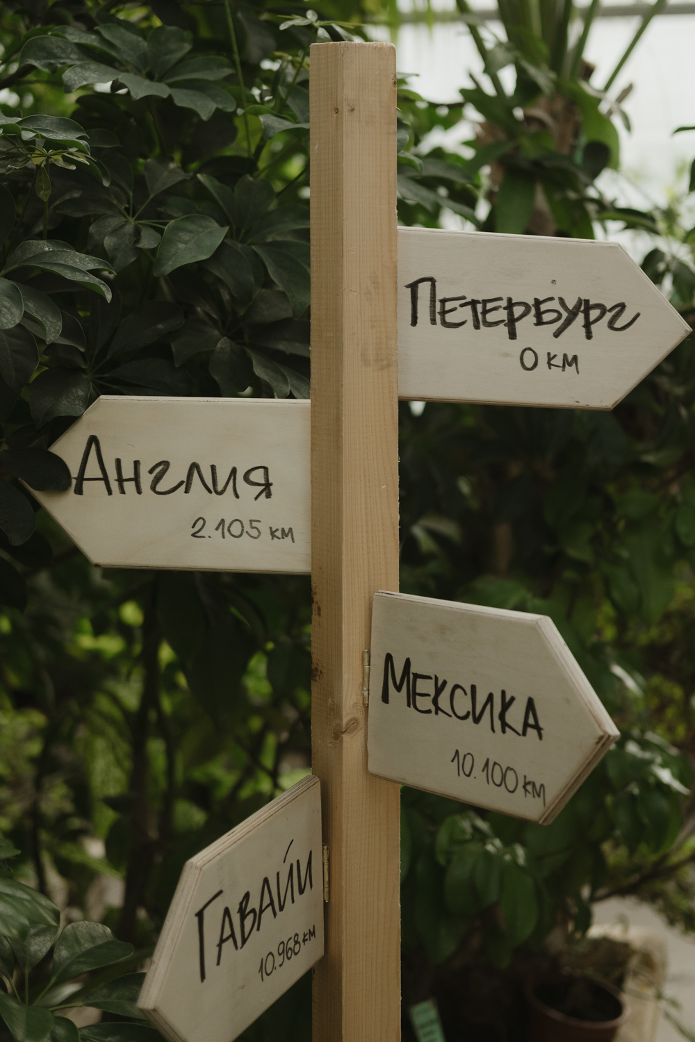 Test. Семейный и свадебный фотограф в Майкопе Михаил Мартиросян