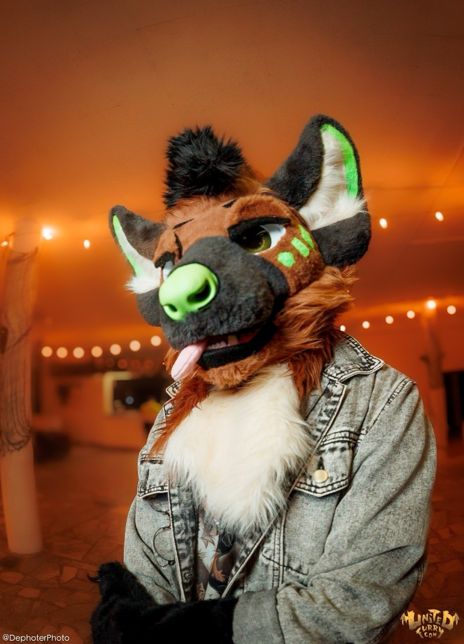 United Furry Convention 2026. Различные мероприятия и просто фотографии людей