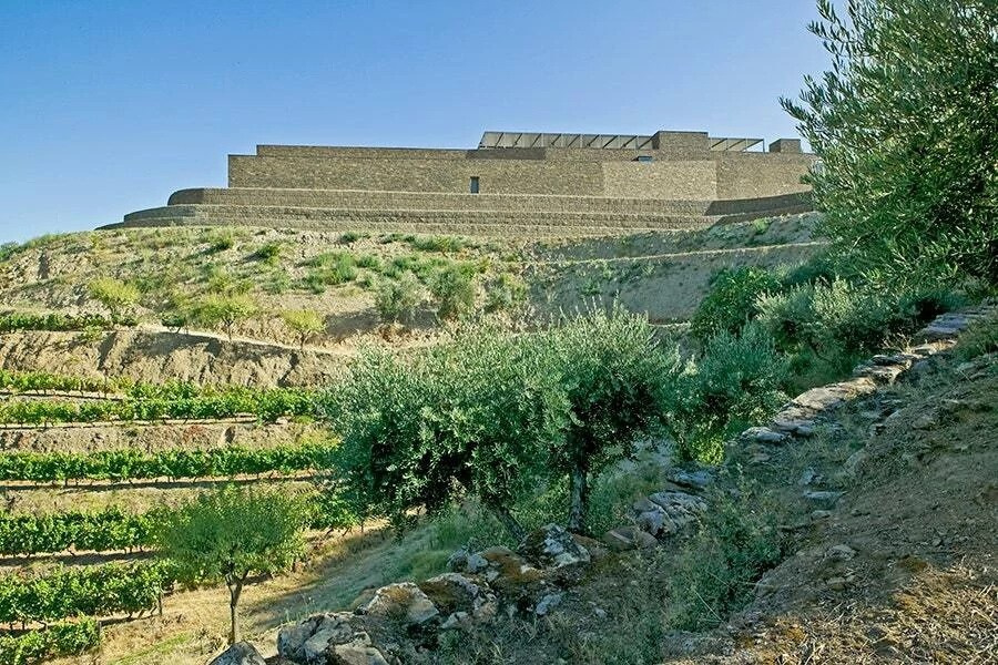 Niepoort Winery Португалия. Фотограф для маркетплейсов Михаил Бове