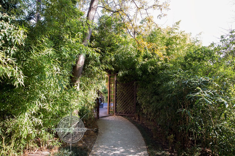 КРАСИВЫЕ МЕСТА В СОЧИ. Свадебный и семейный фотограф/видеограф в Краснодаре Наталья Осинская