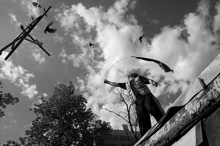 2013— Гран-при. Фотообъединение Самарского областного отделения Союза журналистов России