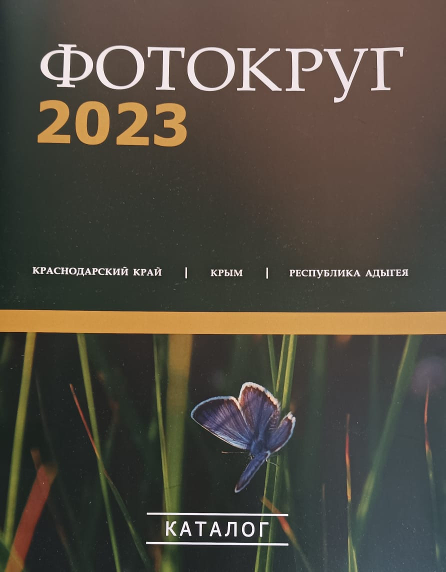 Мои награды. Семейный детский фотограф Краснодарский край Оксана Колос