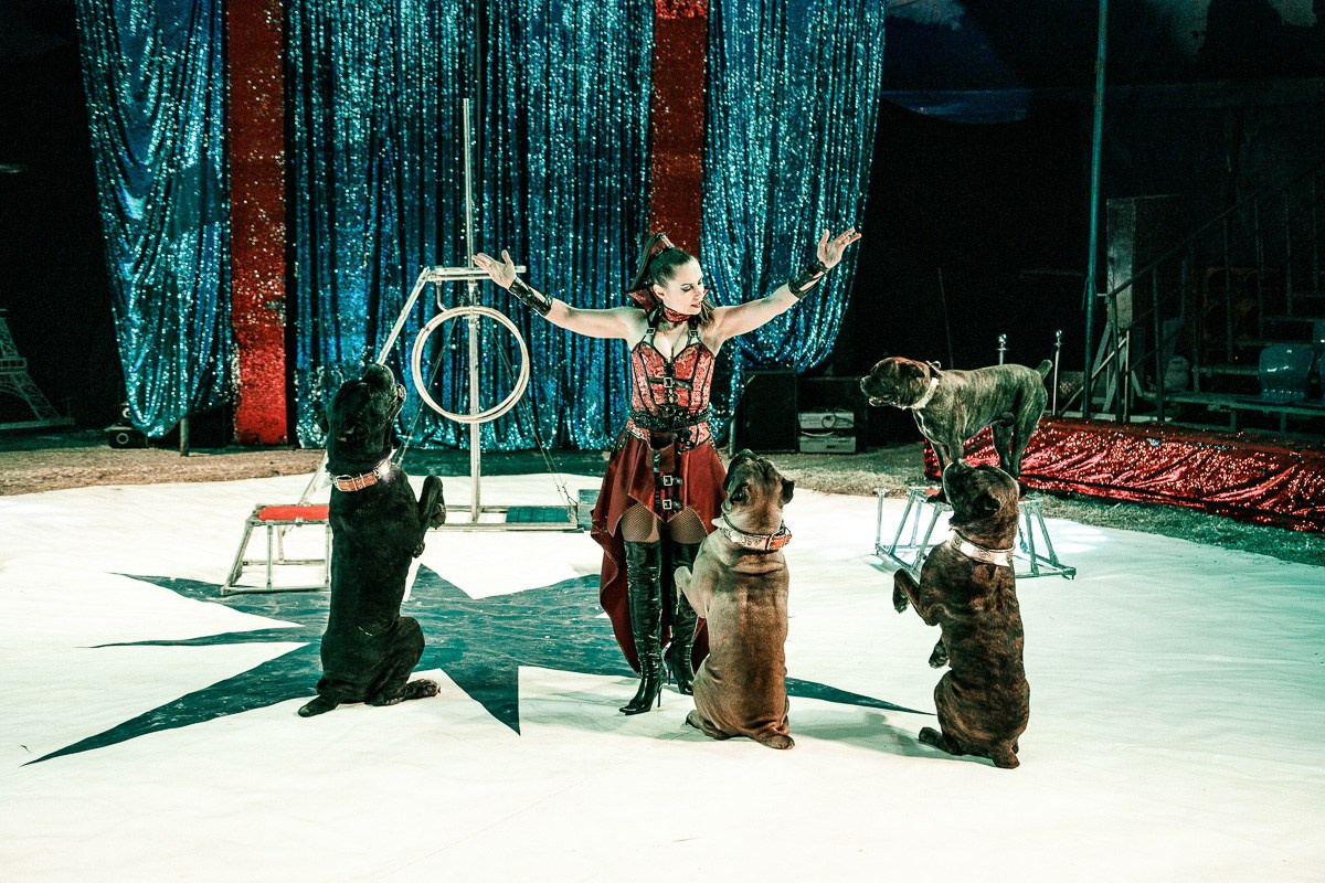 БИЗНЕС КОНТЕНТ. АЛЕКСАНДР ФОКС