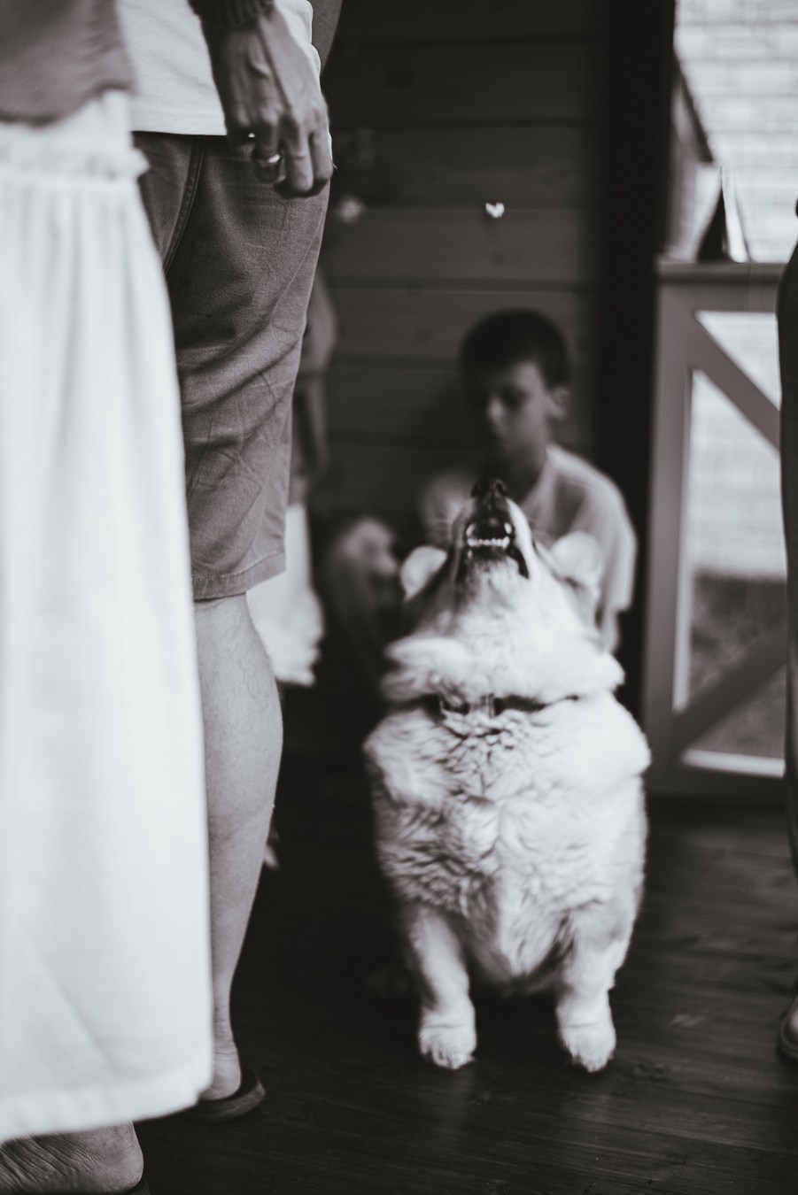 Годик | на даче