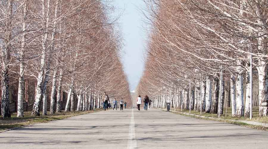 Street art. Фотостудия Алматы. Фотосъемка Алматы. Фотосессия Алматы. Фотокурсы. Обучение фотографии. Аренда студии