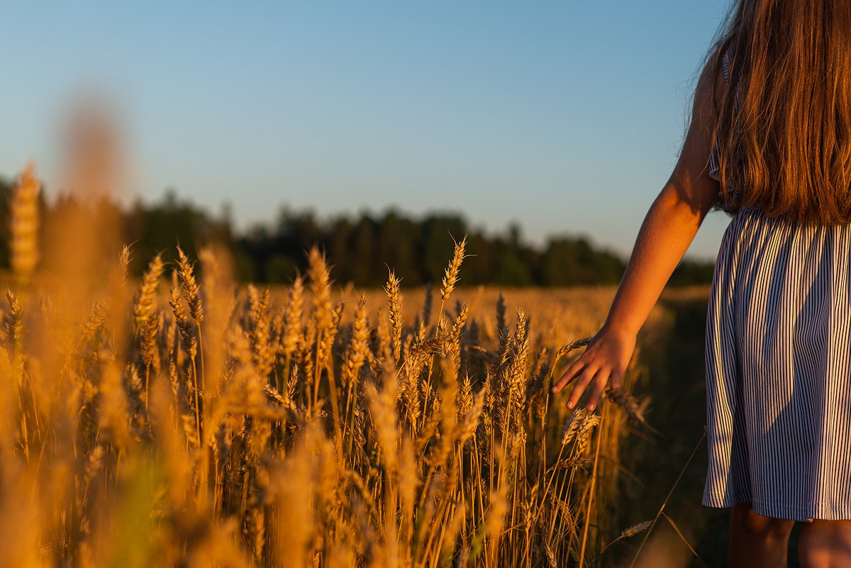 Поле, закат и наши улыбки. Фотограф Мария Ковкова
