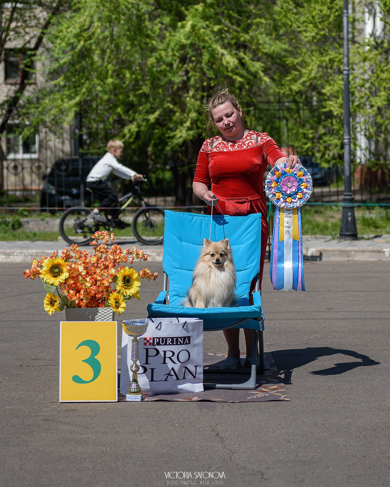 18–19 мая 2024 Благовещенск. Фотограф анималист Благовещенск. Сафонова Виктория
