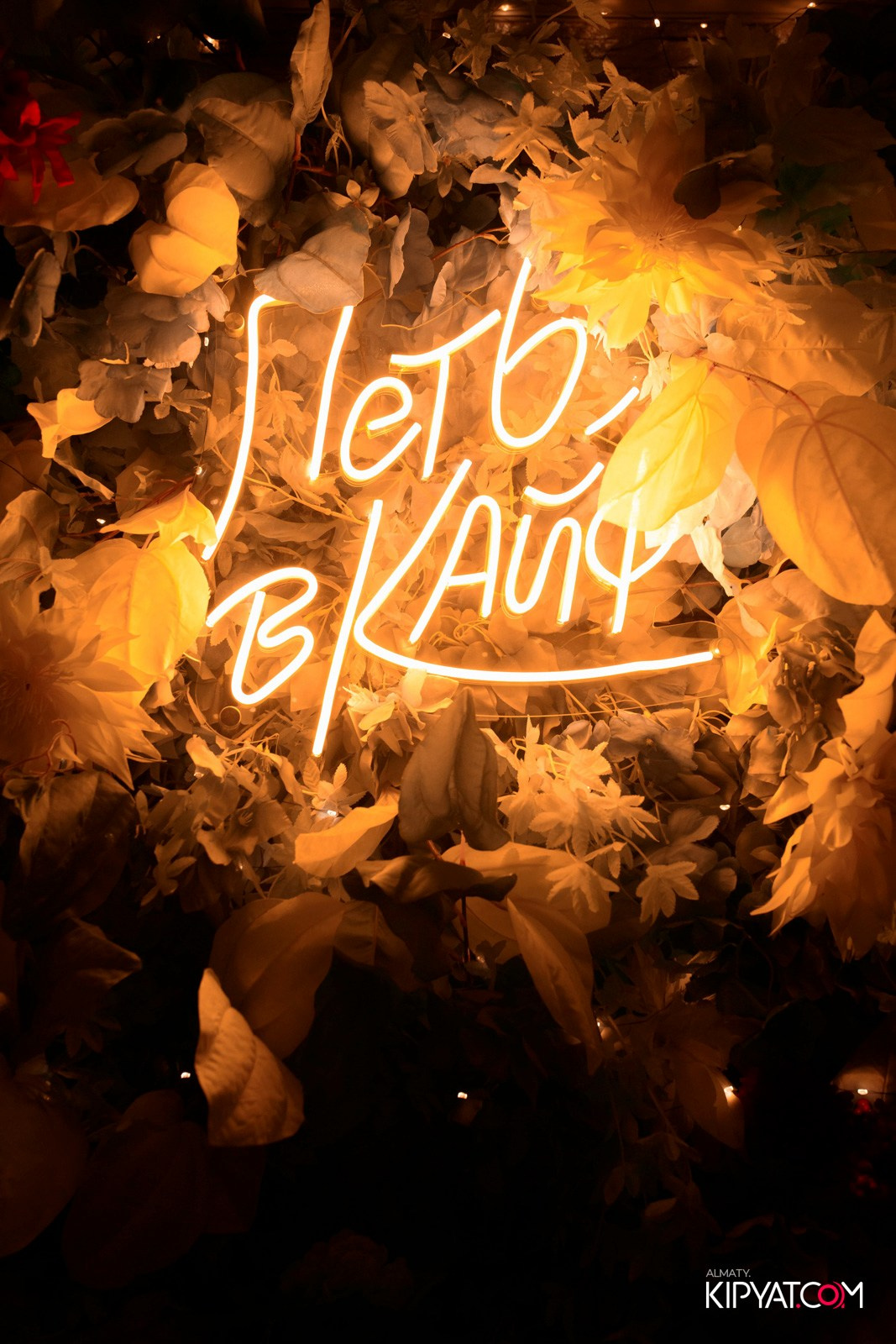 УХО И МЕДВЕДЬ НА ГАГАРИНА. КИПЯТКОМ АЛМАТЫ! Фотосъемка мероприятий в Алматы