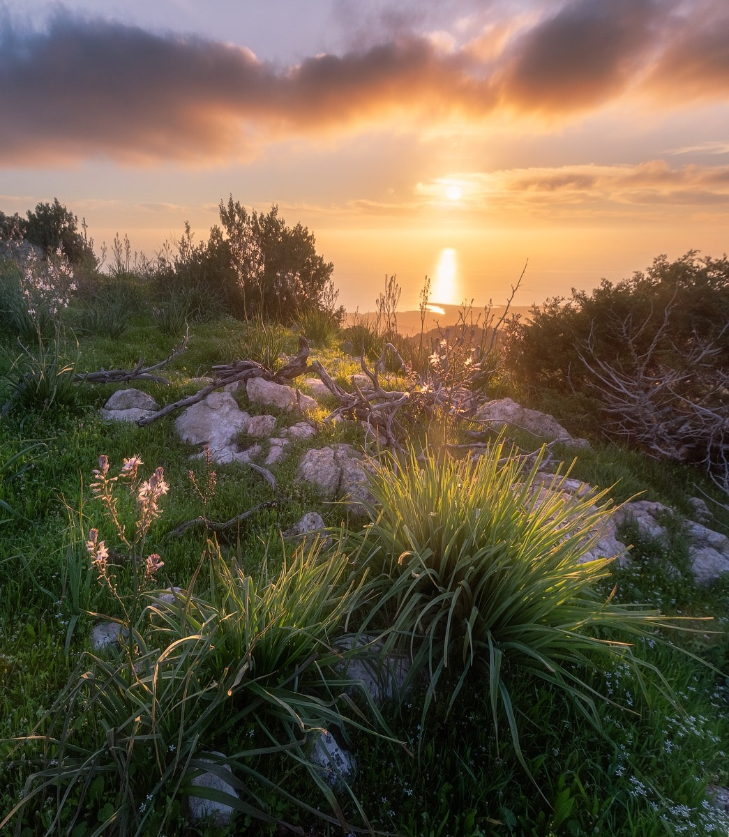 Landscapes. Sergey Sutkovoy — Designer, photographer, traveler, woodworker