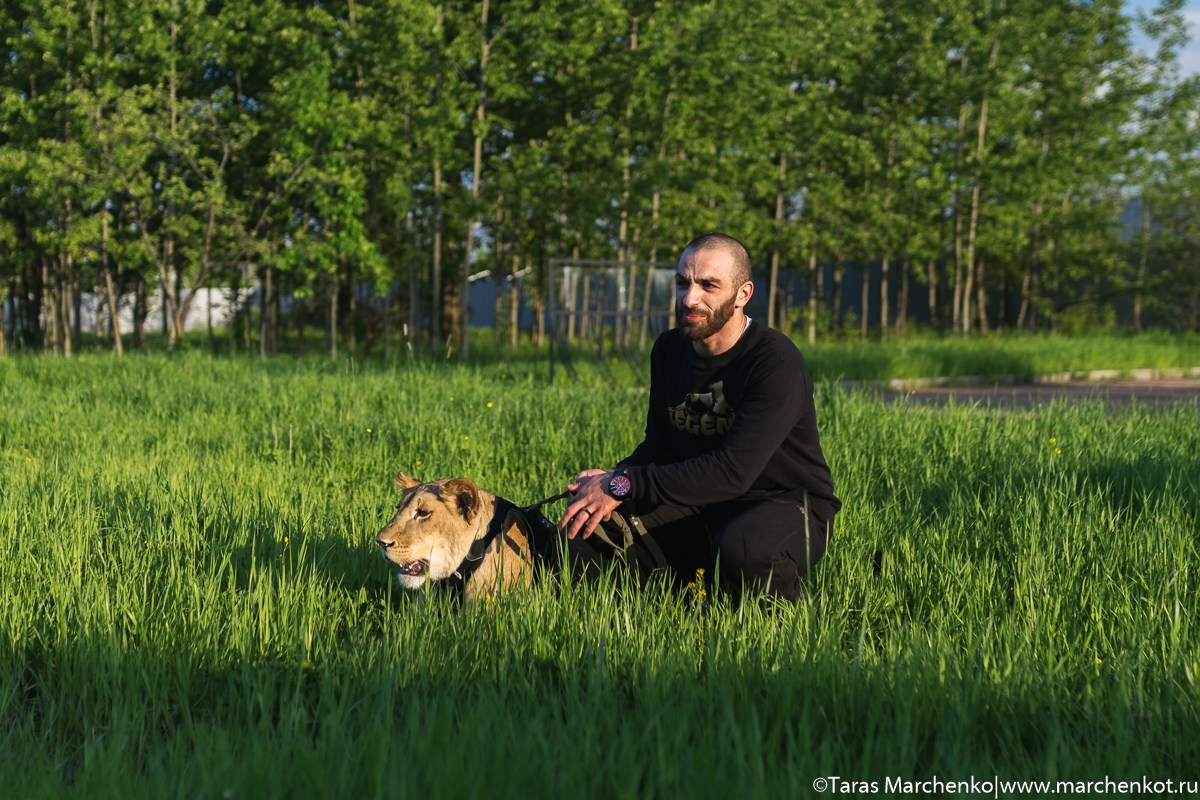 STRELKA. Репортажный и семейный фотограф в Санкт-Петербурге Тарас Марченко