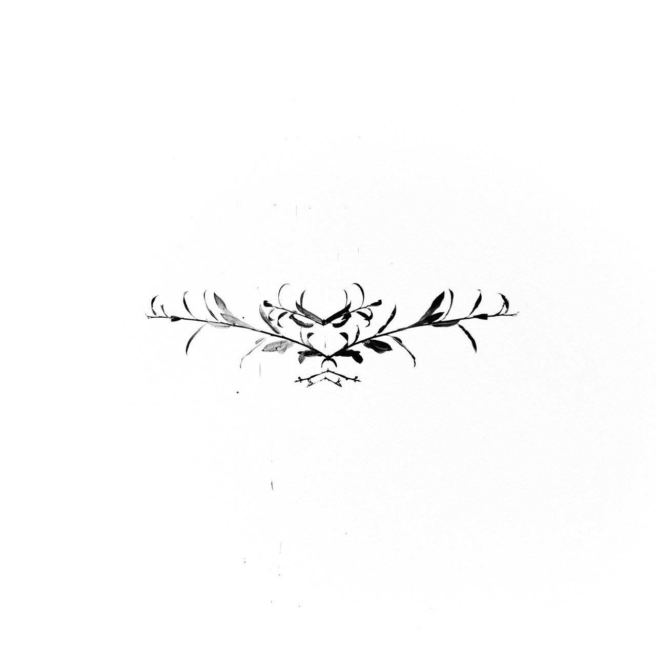 Архангельская область. Фотограф Евгений Андреев