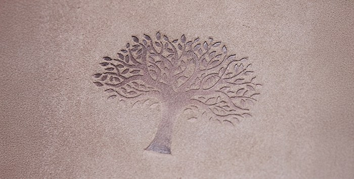 Детальное макро-фото слепого тиснения в виде дерева на кожаной обложке фотокниги.