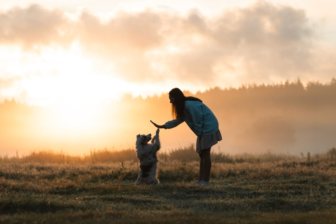 Отзывы. Фотограф анималист