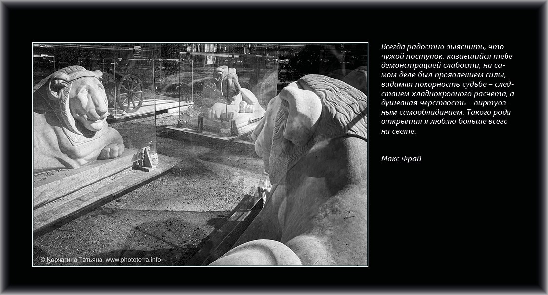 Совет дня — ориентир. Татьяна Корчагина. Фотограф, художник. Обучение фотографии