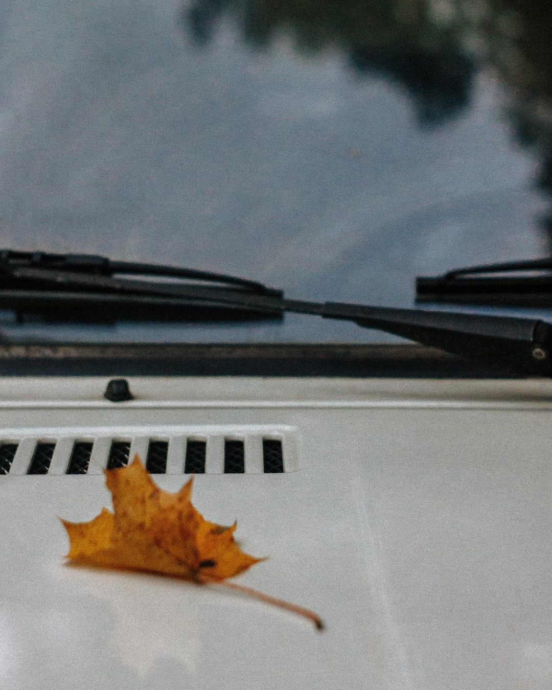 ❀. Честные истории о жизни города и его людях