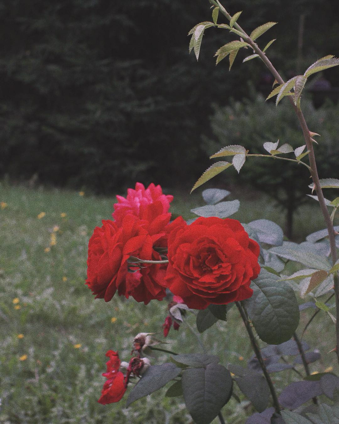 🐾. Честные истории о жизни города и его людях