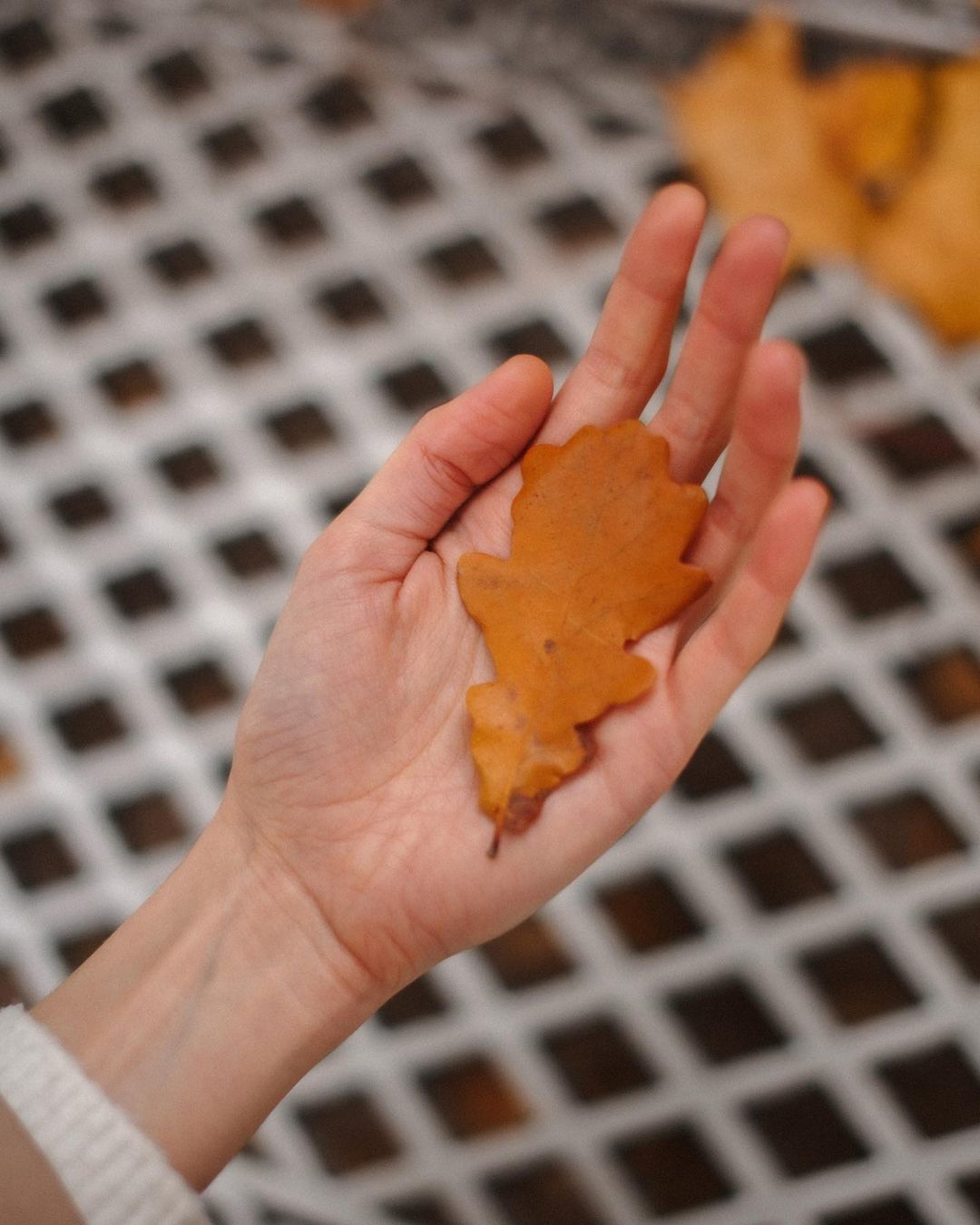 ♡. Честные истории о жизни города и его людях