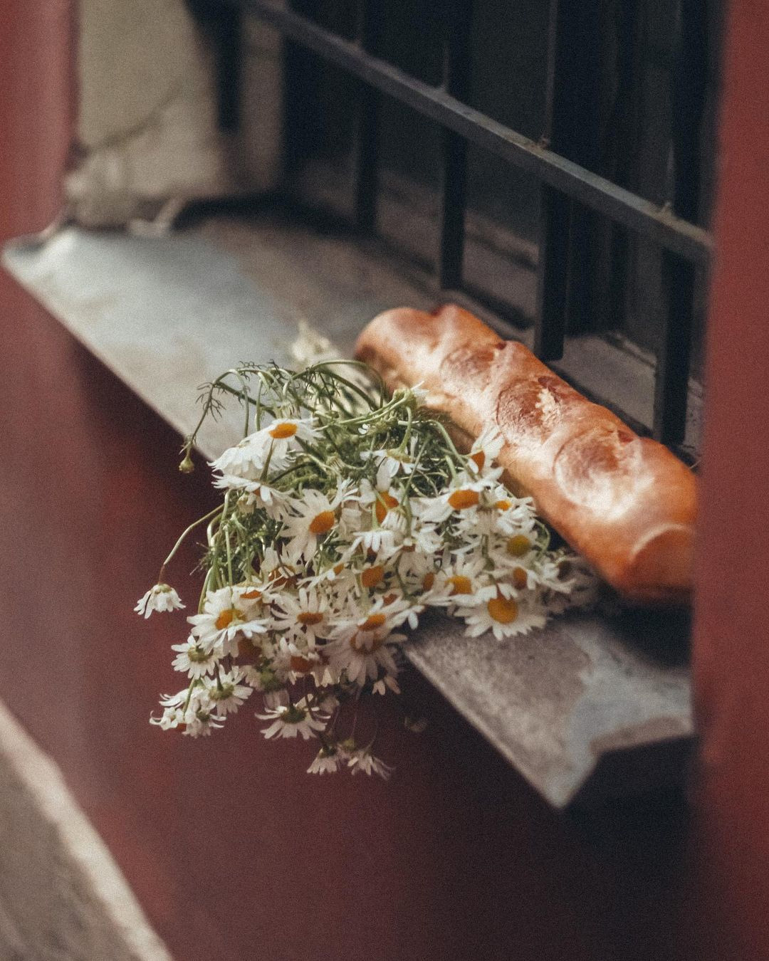 🐾. Честные истории о жизни города и его людях